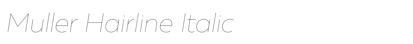 Muller Hairline Italic image